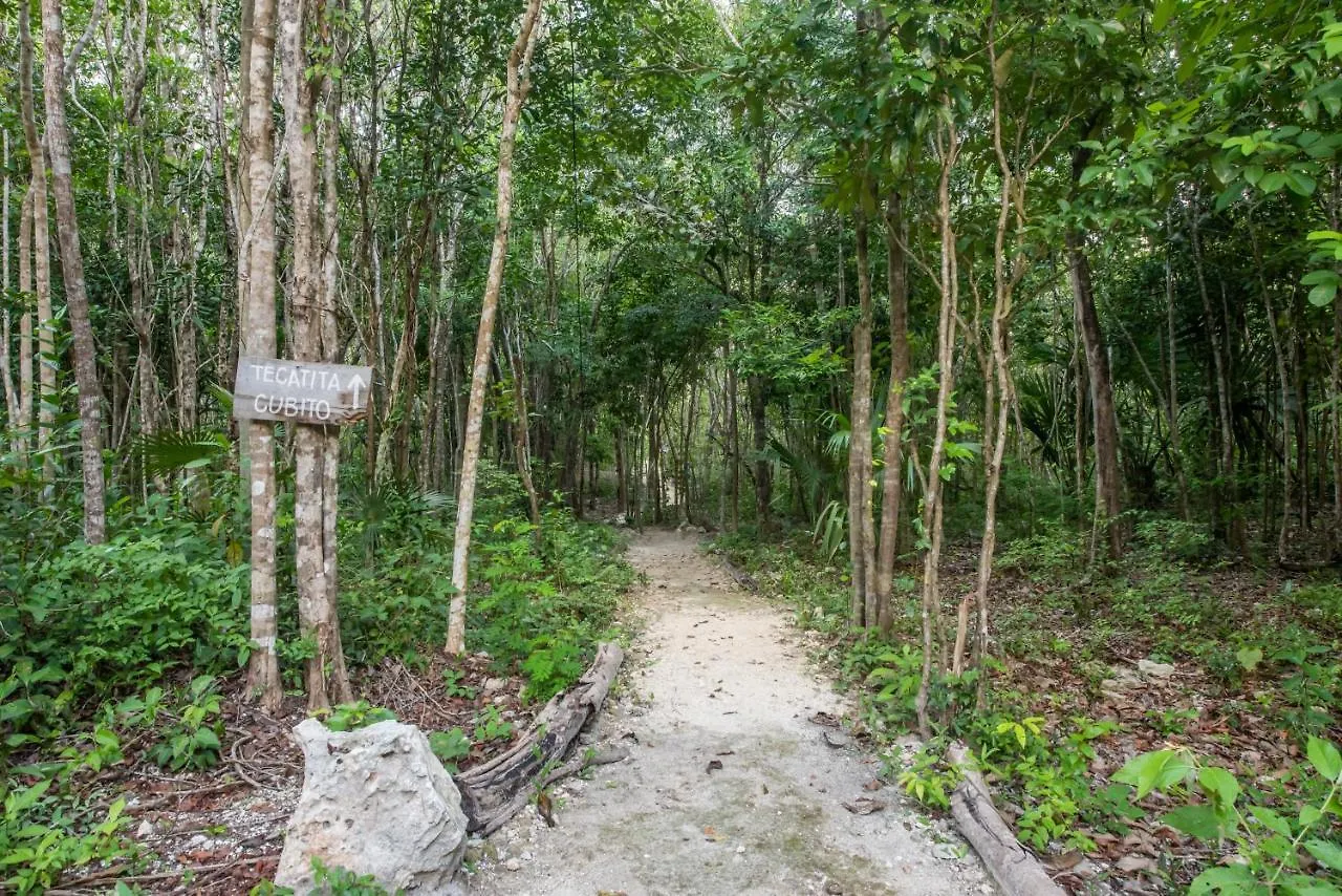 Hotel Casa Costal - Glamping Experience Puerto Morelos