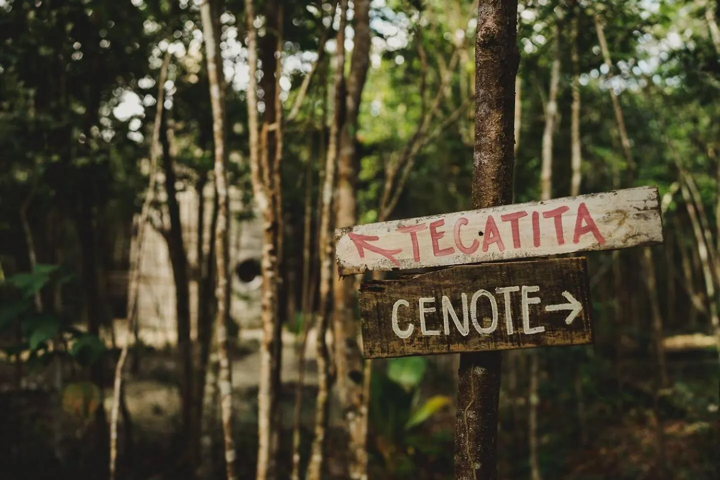 Hotel Casa Costal - Glamping Experience Puerto Morelos Mexiko