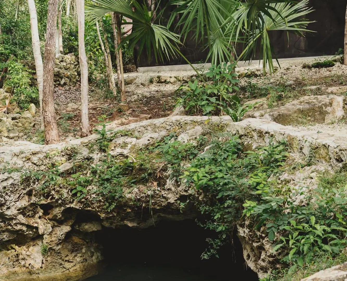 Hotel Casa Costal - Glamping Experience Puerto Morelos Campingplatz
